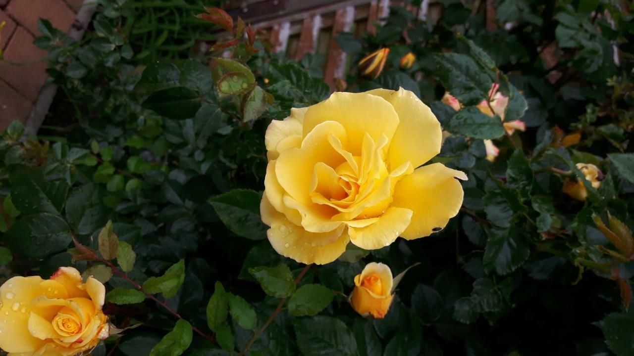 Mank Reiterbauernhof Schoenlehenhof מראה חיצוני תמונה