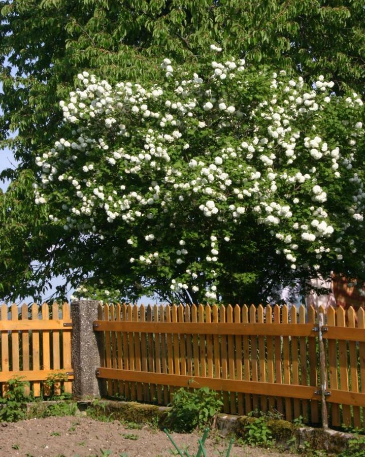 Mank Reiterbauernhof Schoenlehenhof מראה חיצוני תמונה